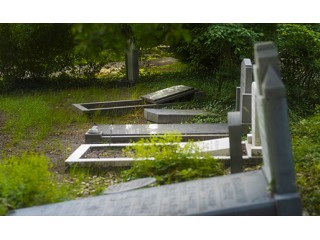 Уход за памятником после зимы?