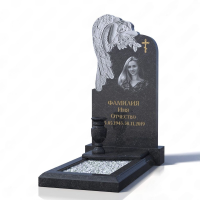 Памятники Памятник Художественный  Д-2